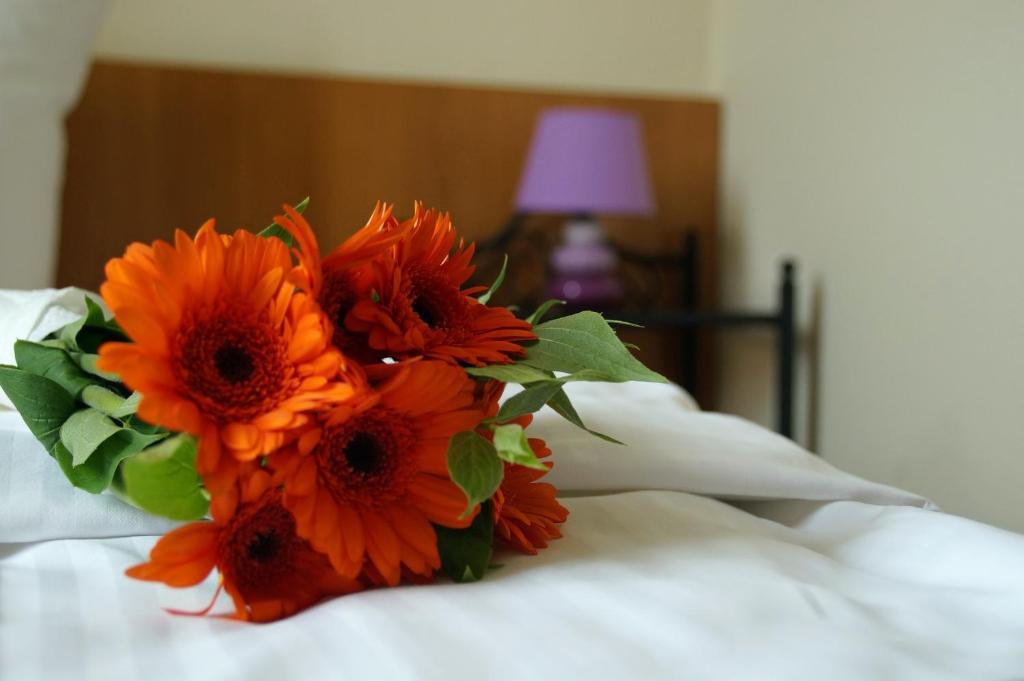 Gut Hotel Stadt Beelitz Phòng bức ảnh