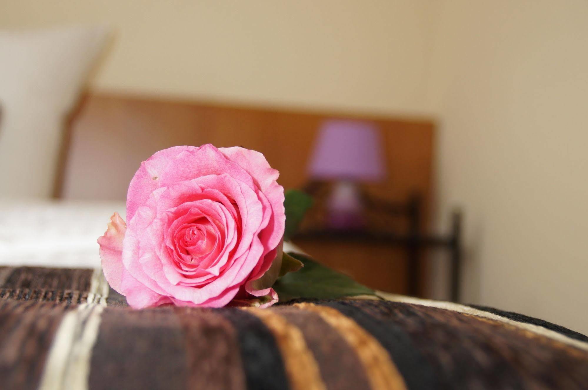 Gut Hotel Stadt Beelitz Ngoại thất bức ảnh
